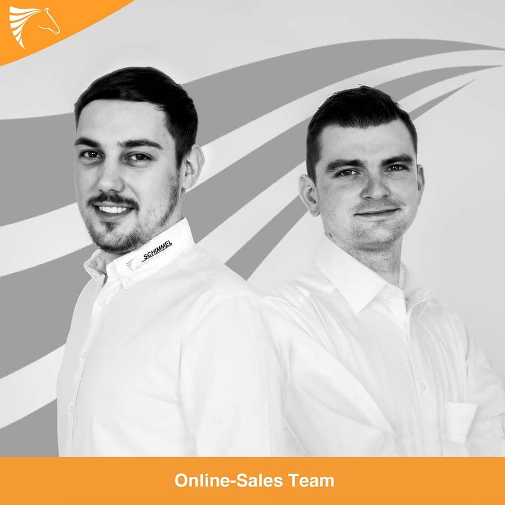 Online Sales Team